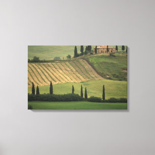 Europa, Italien, Toskana, Val d'Orcia, Toskanisch Leinwanddruck
