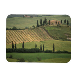 Europa, Italien, Toskana, Val d'Orcia, Toskanisch Magnet