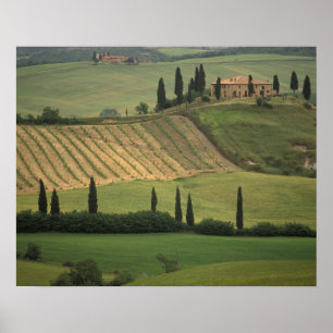 Europa, Italien, Toskana, Val d'Orcia, Toskanisch Poster