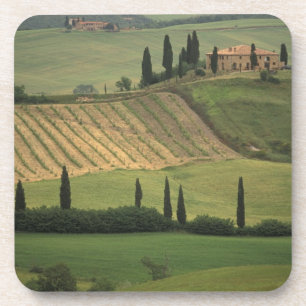Europa, Italien, Toskana, Val d'Orcia, Toskanisch Untersetzer