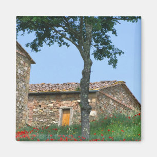 Europa, Italien, Toskana, verlassene Villa in Magnet