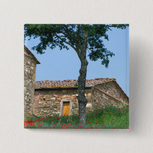 Europa, Italien, Toskana, verlassenes Landhaus in Button