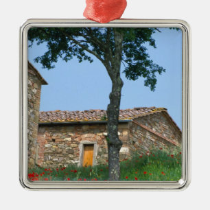 Europa, Italien, Toskana, verlassenes Villengrunds Silbernes Ornament