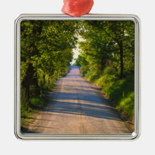 Europa, Italien, Toskana, von Bäumen gesäumte Stra Silbernes Ornament