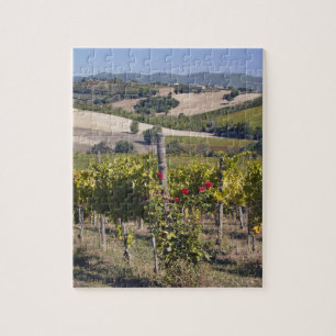 Europa, Italien, Umbrien, nahe Montefalco,