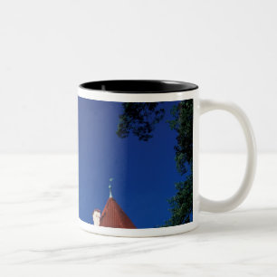Europa, Konopiste Schloss, Tschechische Republik,  Zweifarbige Tasse