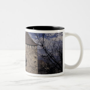 Europa, Liechtenstein, Vaduz. Schloss Vaduz, Zweifarbige Tasse