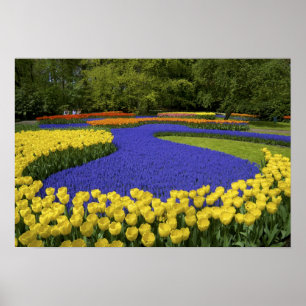 Europa, Niederlande, Holland, Lisse, Keukenhof Poster