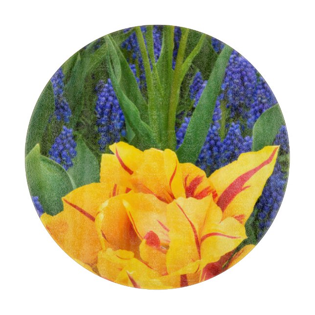 Europa, Niederlande, Lisse.Tulpen Schneidebrett (Vorderseite)