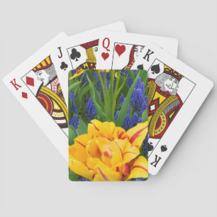 Europa, Niederlande, Lisse. Tulpen Spielkarten
