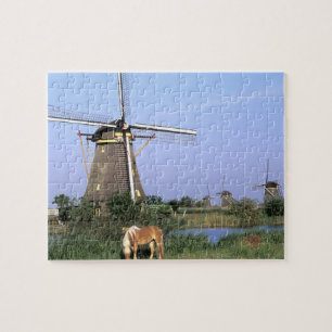Europa, Niederlande, Zuid Holland, Kinderdijk. 2