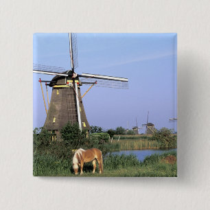 Europa, Niederlande, Zuid Holland, Kinderdijk. 2 Button