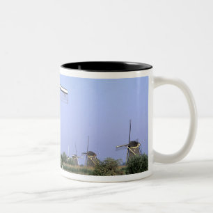 Europa, Niederlande, Zuid Holland, Kinderdijk. 2 Zweifarbige Tasse