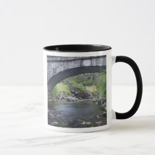 Europa, Norwegen. Steinbrücke auf dem Weg nach Ber Tasse