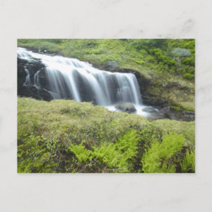 Europa, Norwegen. Wasserfall. Postkarte