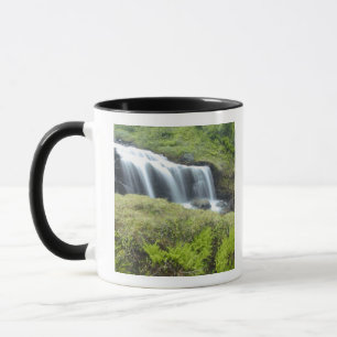 Europa, Norwegen. Wasserfall. Tasse