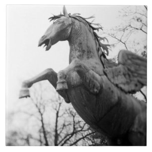Europa, Österreich, Salzburg. Flügelpferd-Statue, Fliese