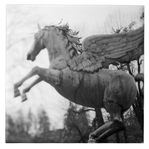 Europa, Österreich, Salzburg. Flügelpferd-Statue,  Fliese