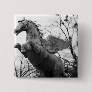 Europa, Österreich, Salzburg. Flügelpferdstatue, Button