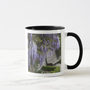 Europa, Österreich, Salzburg Stadt, Salzburg, Tasse