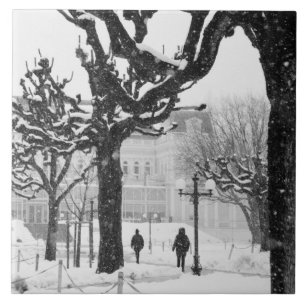 Europa, Österreich, Salzburg. Winter, Fliese