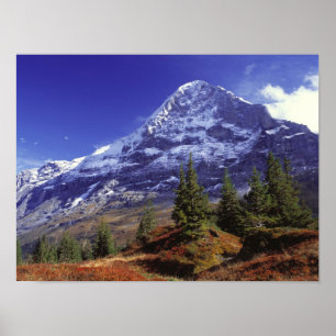 Europa, Schweiz, Eiger. Herbstfarben sind reichlic Poster
