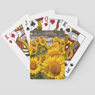 Europa, Spanien, Andalusien, Provinz Cádiz Spielkarten