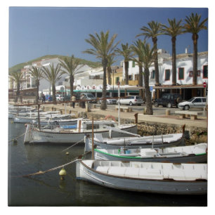 Europa, Spanien, Menorca (auch Menorca). Fischfang Fliese