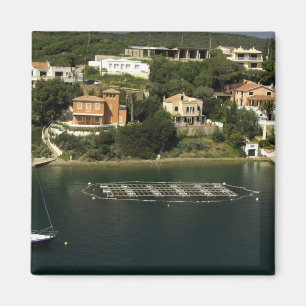 Europa, Spanien, Menorca. Fisch Magnet