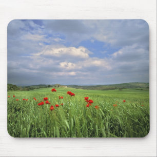 Europa, Toskana, Poggiolo. Rote Pfeffer Mousepad