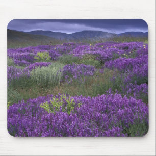 Europa, Türkei, Kappadokien. Ländliche Landschaft  Mousepad