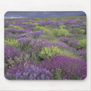 Europa, Türkei, Kappadokien. Ländliche Landschaft Mousepad