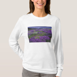 Europa, Türkei, Kappadokien. Ländliche Landschaft  T-Shirt
