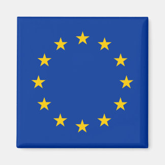 Europäische Gewerkschaft Magnet