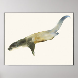Europäische Otter Poster