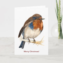 Europäische Robin sieht links Weihnachtskarte aus Karte