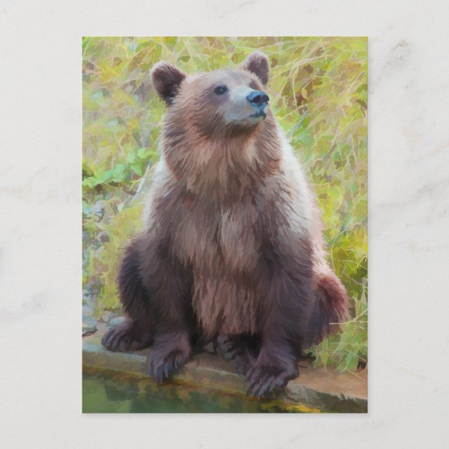 Europäischer Braunbär im Berner Bärenpark Postkarte (Vorderseite)