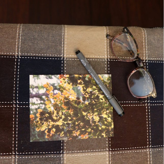 Europäischer Buchenbaum Postkarte (Von Creator hochgeladen)