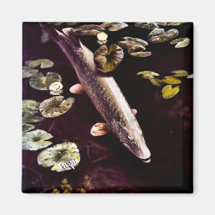 Europäischer Hecht Magnet