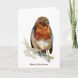 Europäischer Robin schaut Weihnachtskarte nach unt Karte