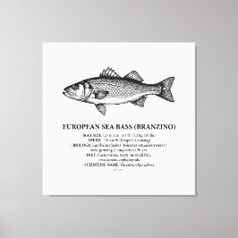 Europäischer Seebarsch Branzino Vintage  Leinwanddruck