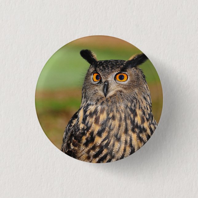 Europäischer Vogelvogel Button (Vorderseite)