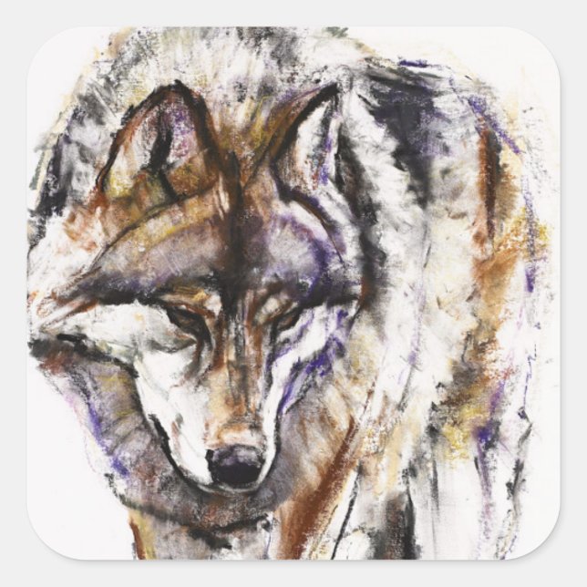 Europäischer Wolf Quadratischer Aufkleber (Vorderseite)