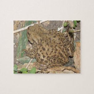 Europäisches gemeinsames Totenrätsel