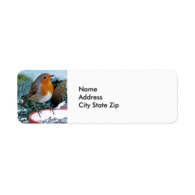 Europäisches Robin-Feeder-Foto (Vorne)