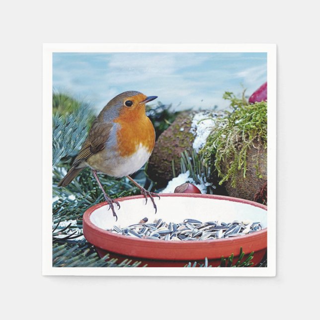 Europäisches Robin-Feeder-Foto Serviette (Vorderseite)