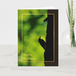 Europäisches treecreeper karte
