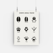 Europe Animal Trails Set Poster