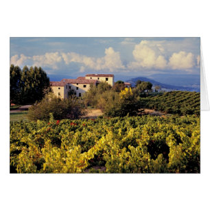 Europe, France, Bonnieux. Les vignobles couvrent l