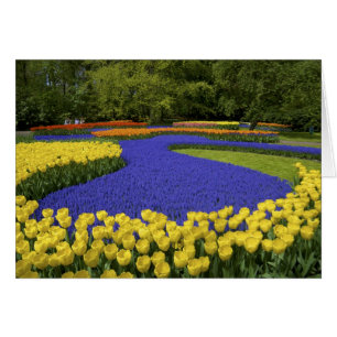 Europe, Pays-Bas, Hollande, Lisse, Keukenhof